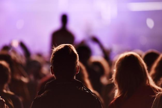 Vue arrière de la foule lors d'un concert