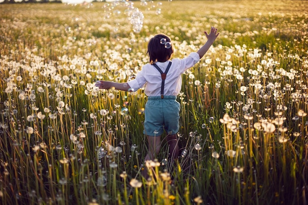 Vue arrière garçon enfant en course sur un champ avec des pissenlits blancs au coucher du soleil en été