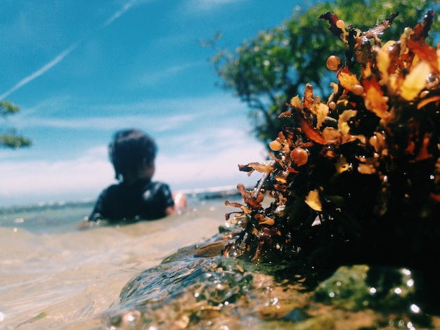 Photo vue arrière d'un garçon qui s'amuse à la plage