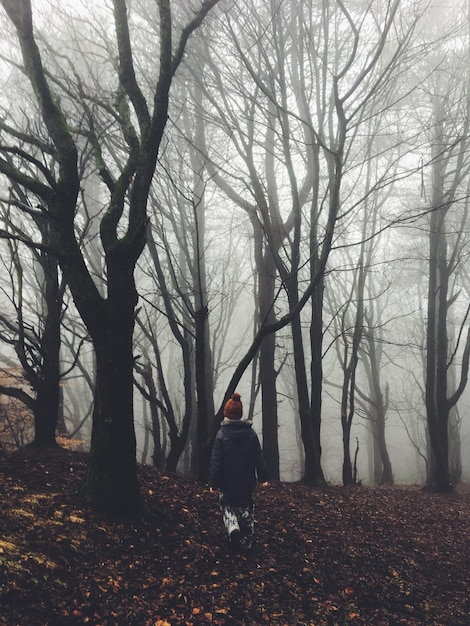 Vue arrière d'un garçon qui se promène dans la forêt par temps brumeux