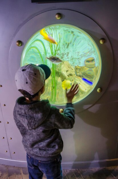 Photo vue arrière d'un garçon regardant un réservoir de poissons dans un aquarium