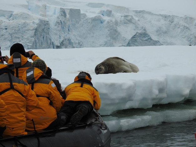 Photo vue arrière des gens dans le lac par mammifère sur le champ pendant l'hiver