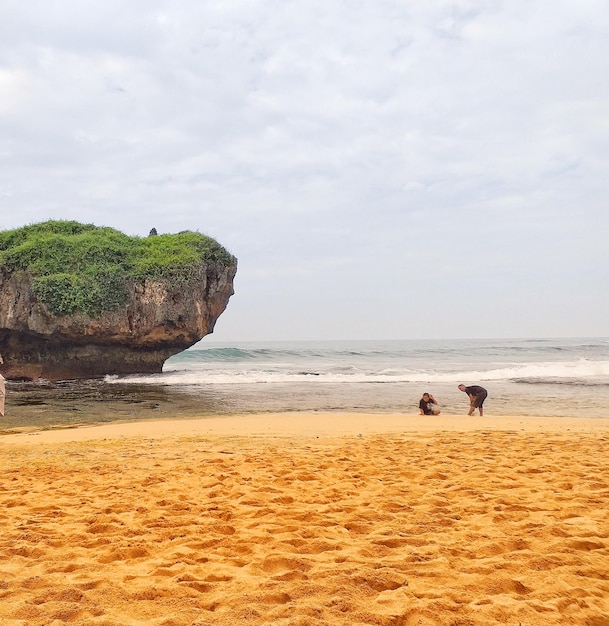 Photo vue arrière des gens sur la plage contre le ciel