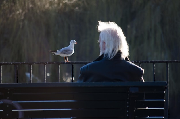 Photo vue arrière d'un homme assis sur un banc par un garde-corps