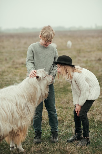 Photo vue arrière d'un homme avec un cheval sur le champ