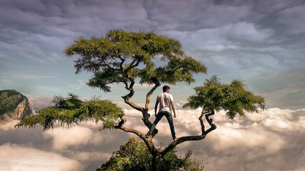 Photo vue arrière d'un homme debout sur un arbre contre un ciel nuageux