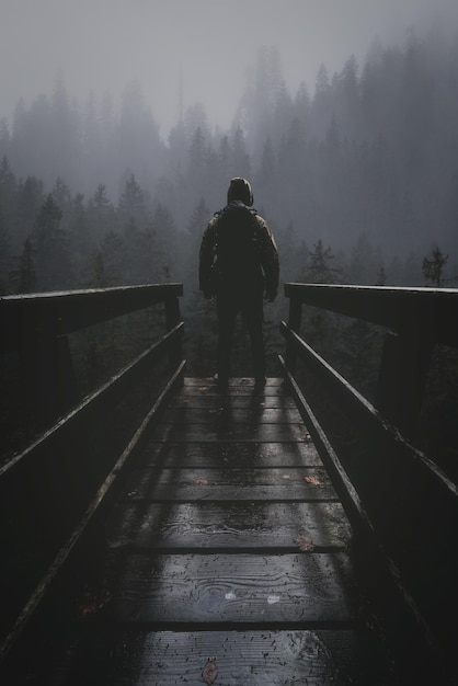 Photo vue arrière d'un homme debout au bord du point d'observation