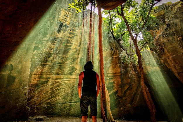 Vue arrière d'un homme debout dans la forêt