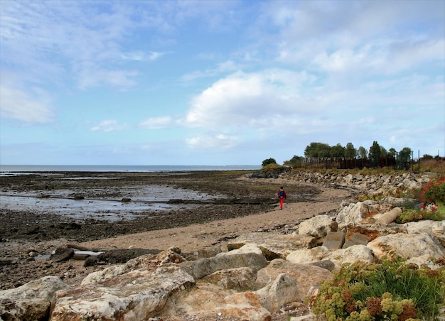 Vue arrière d'un homme debout sur la plage