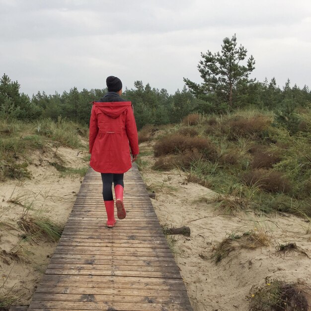 Vue arrière d'un homme marchant sur la route au milieu des arbres