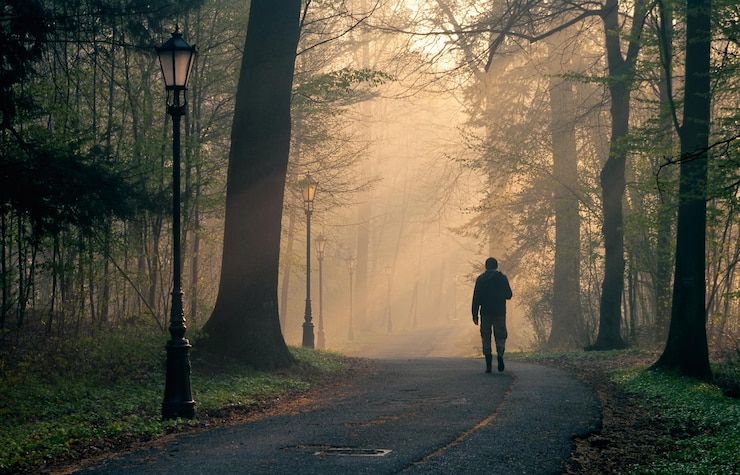 Photo vue arrière d'un homme marchant sur un sentier au milieu des arbres par temps brumeux