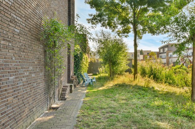 Photo vue arrière d'un homme marchant sur un sentier dans un parc