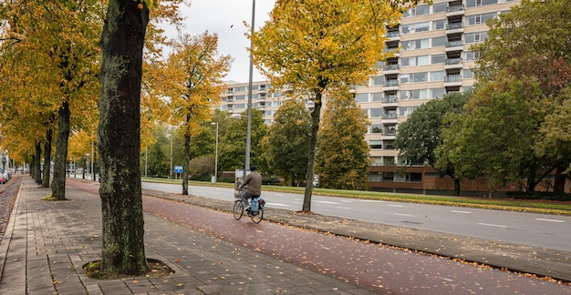 Vue arrière d'un homme monté sur un vélo Rotterdam Pays-Bas