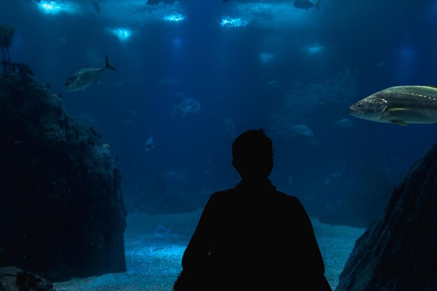 Vue arrière d'un homme nageant dans la mer