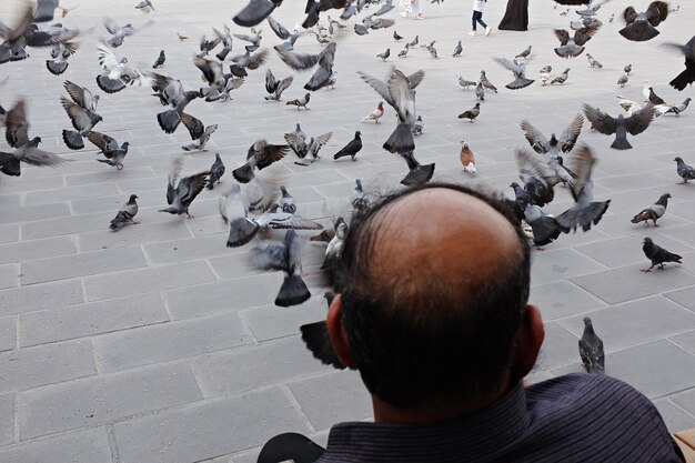 Photo vue arrière de l'homme sur les oiseaux