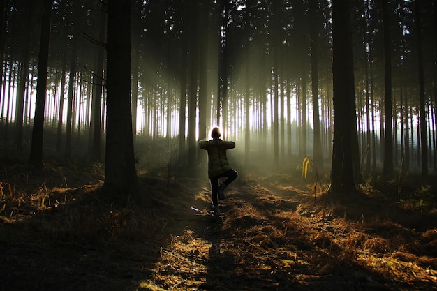 Vue arrière d'un homme qui marche dans la forêt