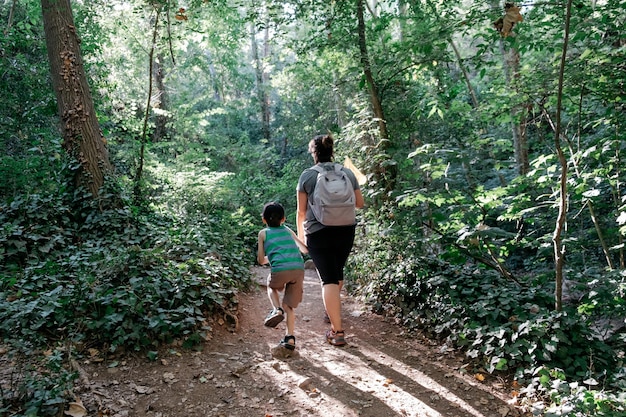 Vue arrière d'un homme qui marche dans la forêt