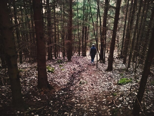 Photo vue arrière d'un homme qui marche dans la forêt