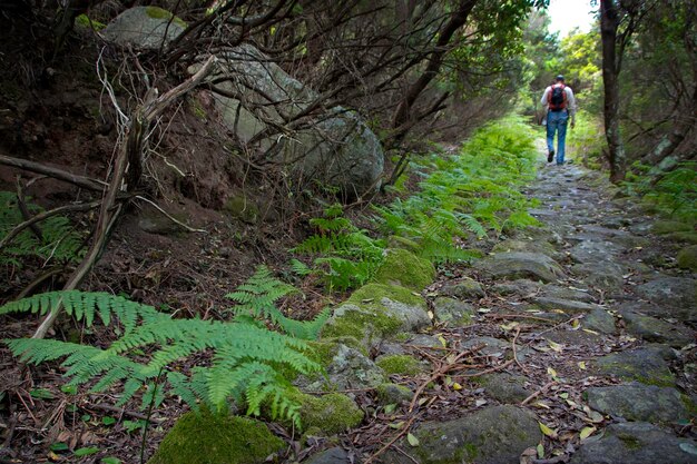 Vue arrière d'un homme en randonnée dans le parc national de l'archipel de la Toscane