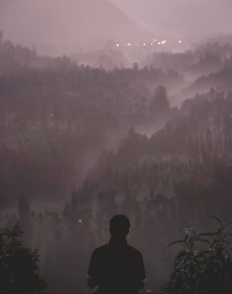 Vue arrière d'un homme en silhouette debout à côté d'un arbre contre le ciel