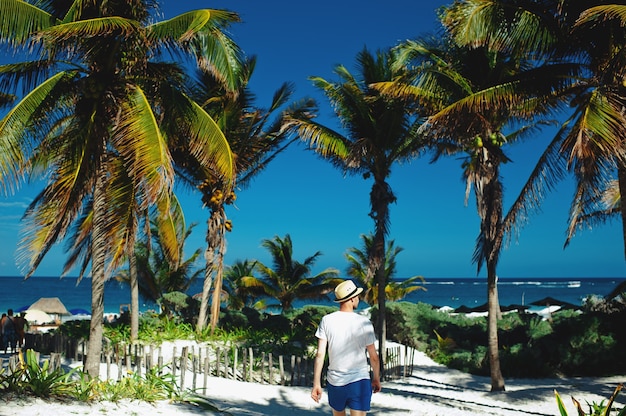 Vue arrière homme touristique méconnaissable marchant sur la plage avec des palmiers