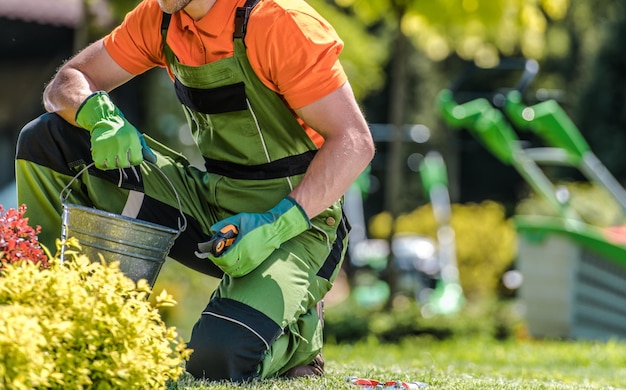 Photo vue arrière d'un homme travaillant sur le champ