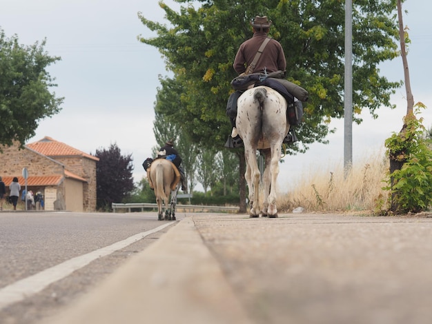 Photo vue arrière d'hommes à cheval sur la route