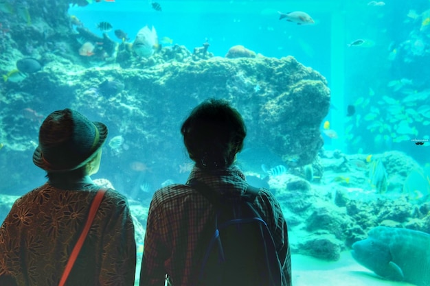 Vue arrière d'hommes debout dans l'aquarium