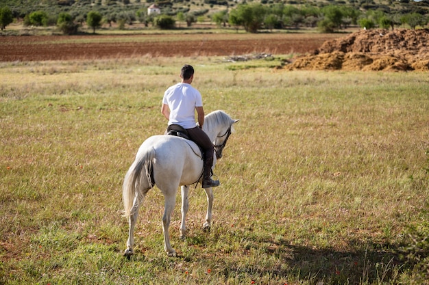 Vue arrière, de, jeune mâle, équitation, cheval blanc, dans, herbe, pré, temps nuageux, dans, campagne