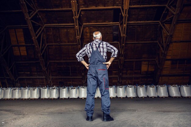 Vue arrière d'un ouvrier d'usine senior debout dans un entrepôt d'usine avec les mains sur les hanches