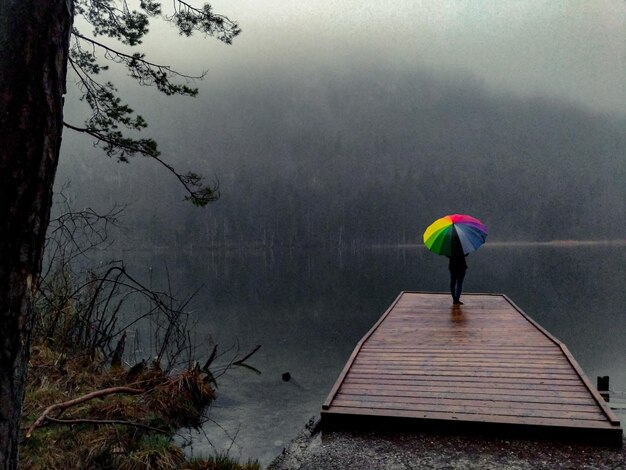 Vue arrière d'une personne près du lac pendant la saison des pluies