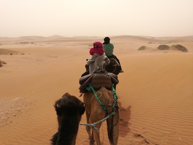 Vue arrière de personnes à cheval dans le désert