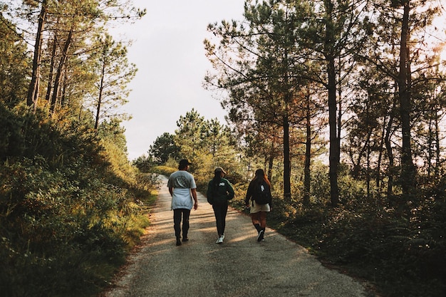 Vue arrière de personnes marchant dans la forêt