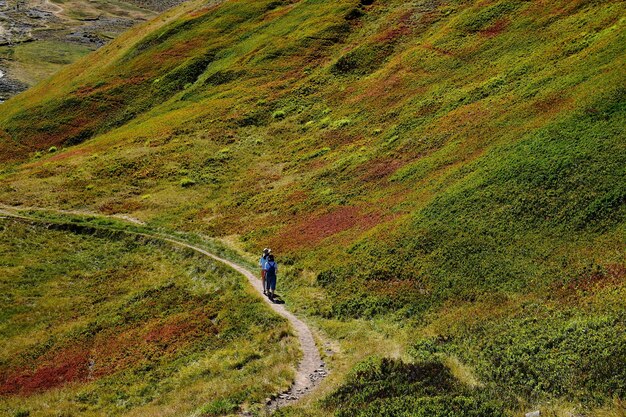 Vue arrière de personnes marchant sur la montagne