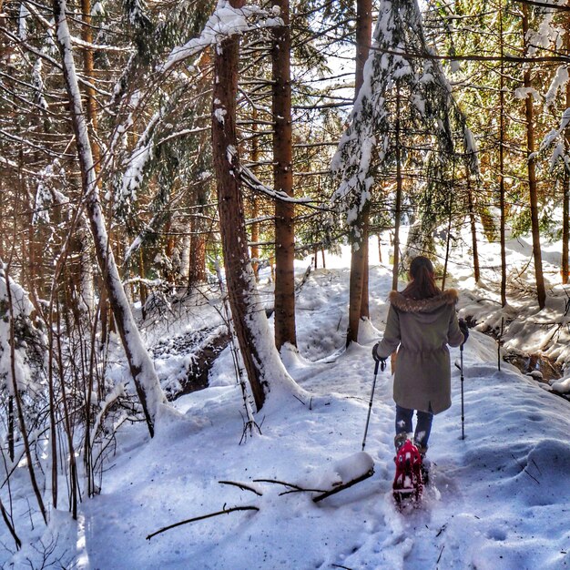 Photo vue arrière d'une randonneuse marchant dans un paysage couvert de neige dans la forêt