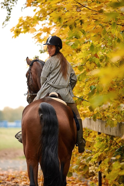 Vue arrière tourné Portrait d'une jolie jeune femme avec un cheval brun journée d'automne