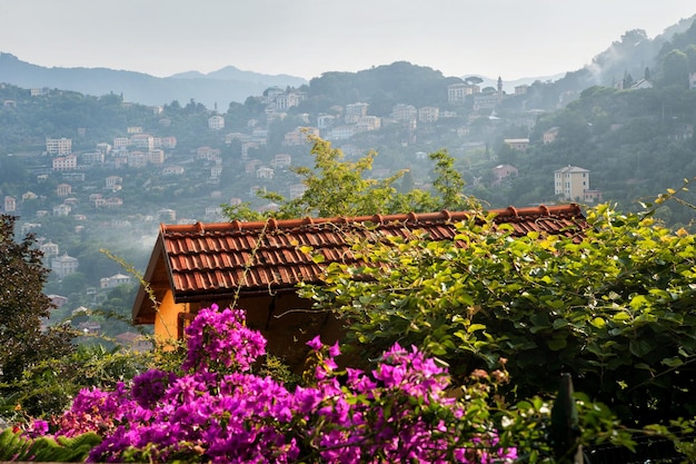 vue atmosphérique du toit en carreaux orange d'une vieille maison et d'un buisson de bougainville avec des fleurs roses devant et des montagnes dans le brouillard derrière Italie Europe Bâtiments classiques de l'Italie méditerranéenne