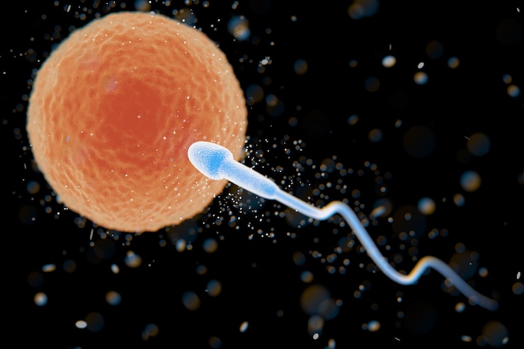 Photo vue au microscope du spermatozoïde allant à l'extrême gros plan de l'ovule. rendu 3d