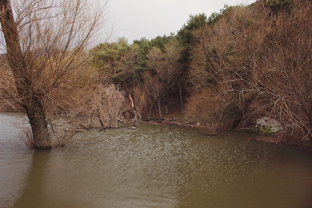 Vue automnale d&#39;un lac avec un feuillage dans les arbres