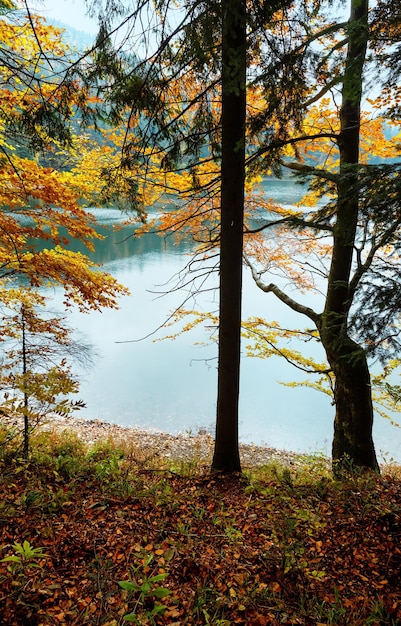 Vue d'automne du lac Synevyr