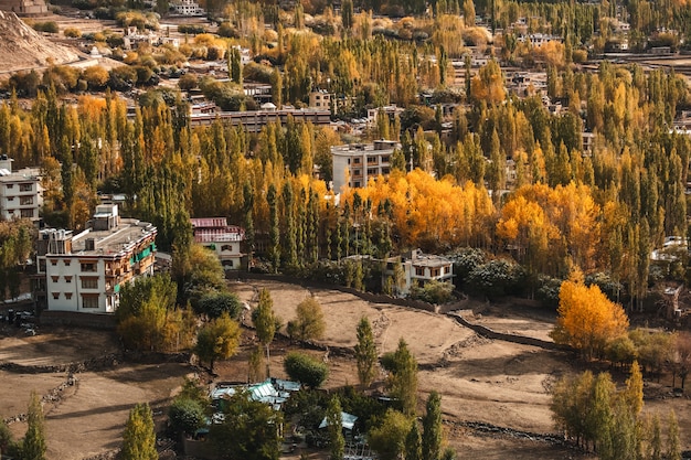 Vue d'automne du paysage dans le district de Leh Ladakh, partie nord de l'Inde