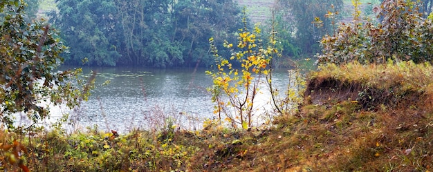 Vue d'automne avec une falaise près de la rivière et des arbres et arbustes colorés sur le rivage