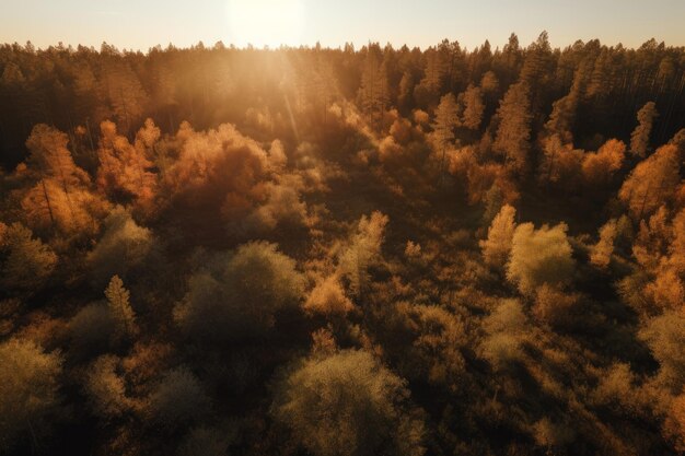 Vue d'automne de la forêt Générer Ai