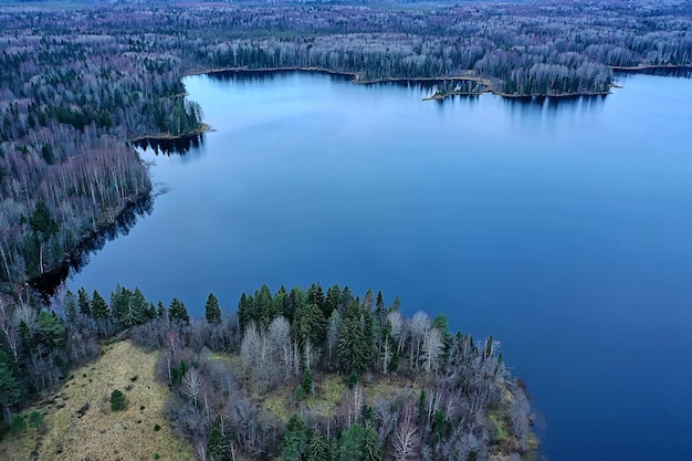 vue d'automne de la rivière depuis la forêt de drones, vue aérienne panoramique du paysage