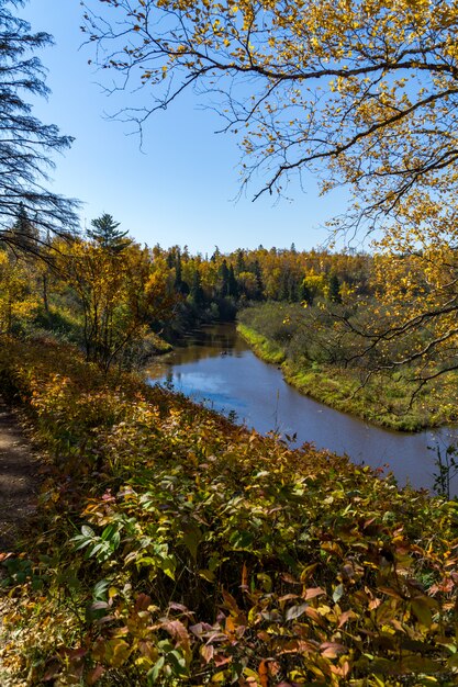 Vue d'automne sur une rivière Minnesota