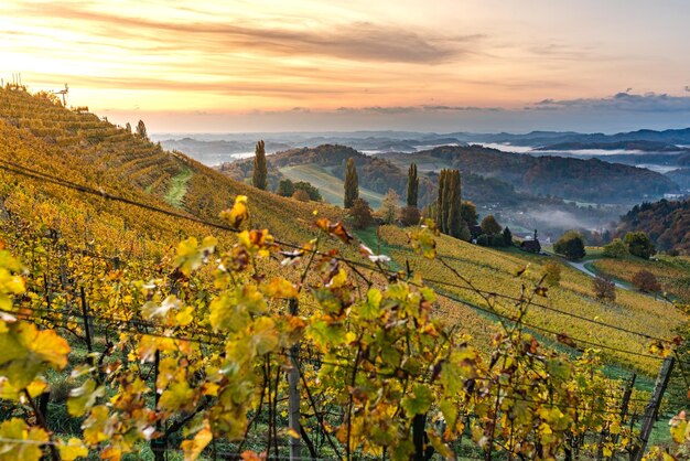 Vue d'automne de la route de la Styrie du Sud en Autriche sur les collines de Slovénie au lever du soleil