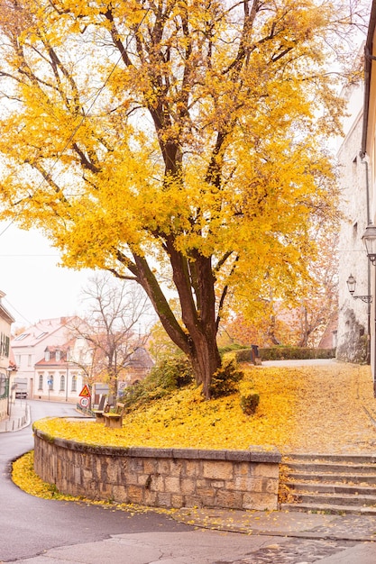 Vue d'automne de la ville haute historique de Zagreb, Croatie