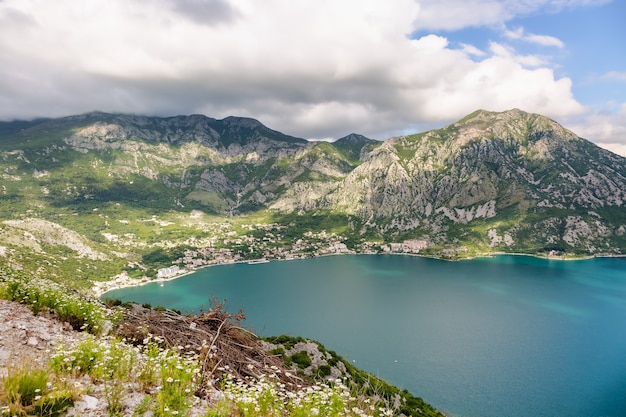 Vue sur la baie de Kotor et les montagnes Monténégro, patrimoine de l'Unesco, la montagne est couverte de marguerites