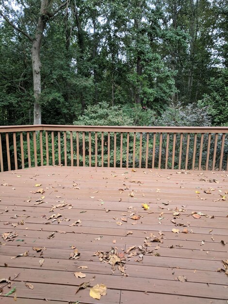 Photo vue de la balustrade à l'automne