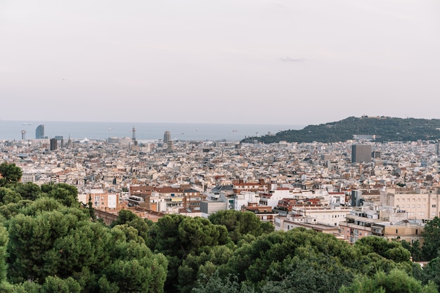 Vue de Barcelone depuis le parc Guel, Espagne